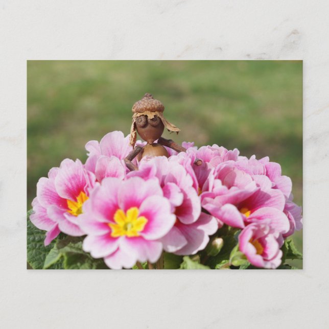 Acorn elf Mädchen auf der Frühling-Blume Postkarte (Vorderseite)