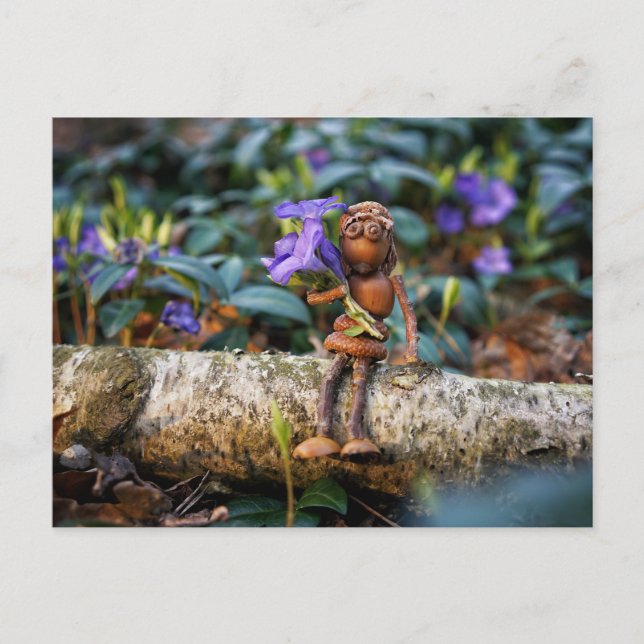 Acorn elf Mädchen mit Blume Postkarte (Vorderseite)