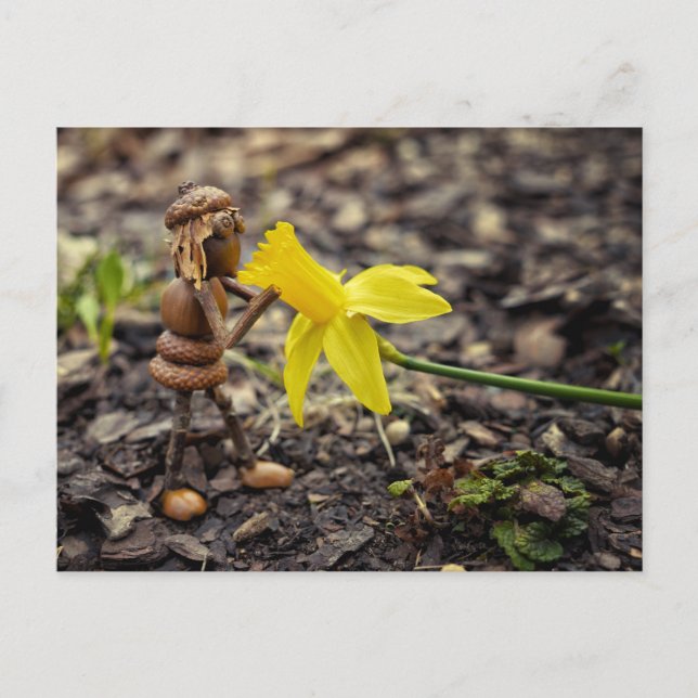 Acorn elf Mädchen mit gelber Nadel-Blume-Feder Postkarte (Vorderseite)