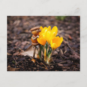 Acorn-Elf mit gelber Blume Postkarte