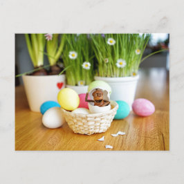 Acorn Elf mit Ostereiern Ostern Postkarte