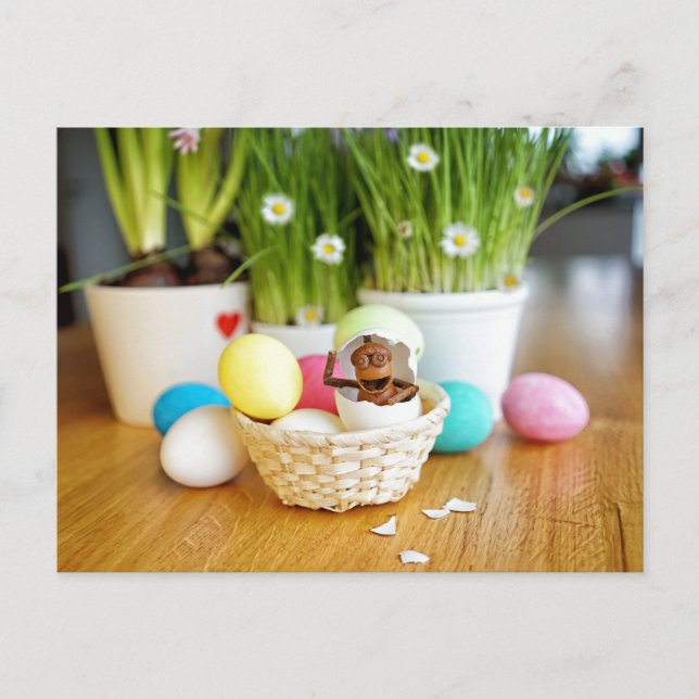 Acorn Elf mit Ostereiern Ostern Postkarte (Vorderseite)