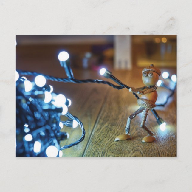 Acorn Elf mit Weihnachtslicht-Ketten - Weihnachten Postkarte (Vorderseite)