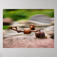 Acorn elf reiten auf dem Schneckenposter