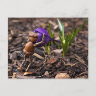 Acorn elf Überprüfung der Frühling-Blume Postkarte