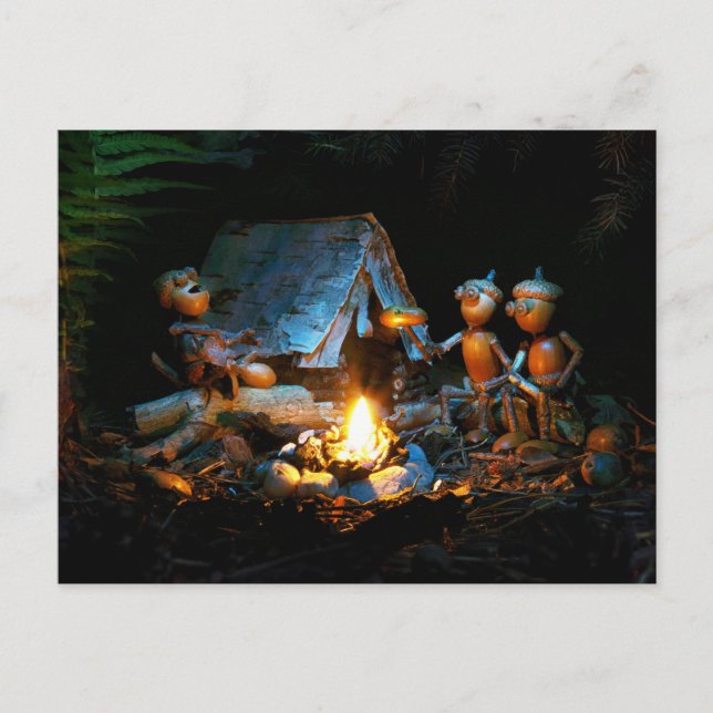 Acorn-Elfen rund um das Lagerfeuer am Campingplatz Postkarte (Vorderseite)