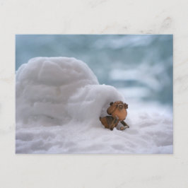 Acorn-Elfen spielen mit der Schnee-Winter-Postkart Postkarte