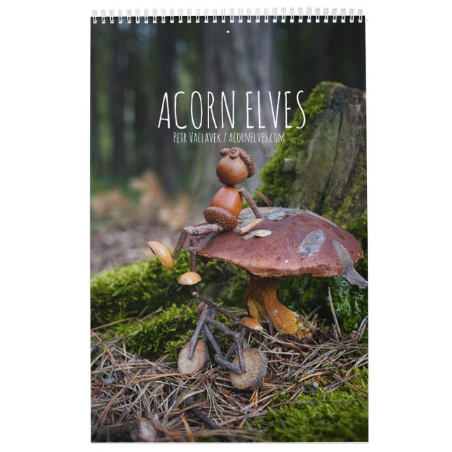 Acorn Elves / Dubanci Foto Kalender (Titelbild)