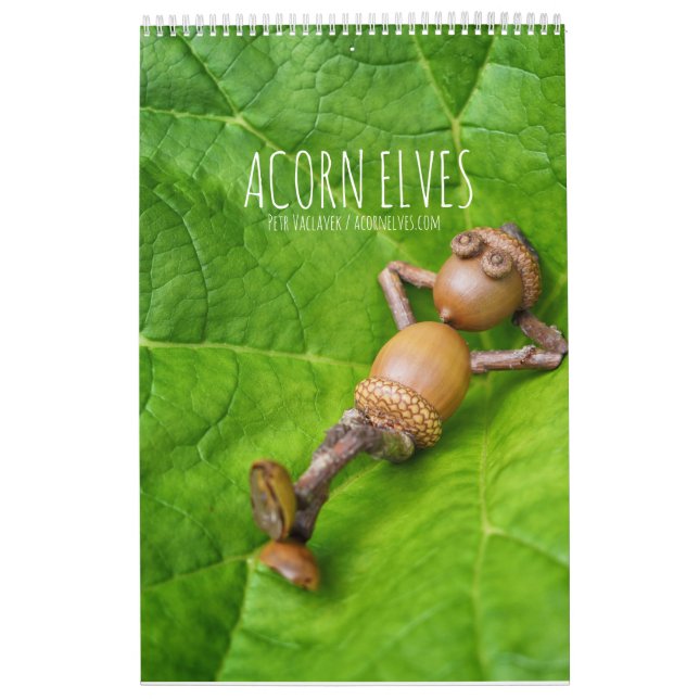 Acorn Elves / Dubanci Foto Kalender (Titelbild)