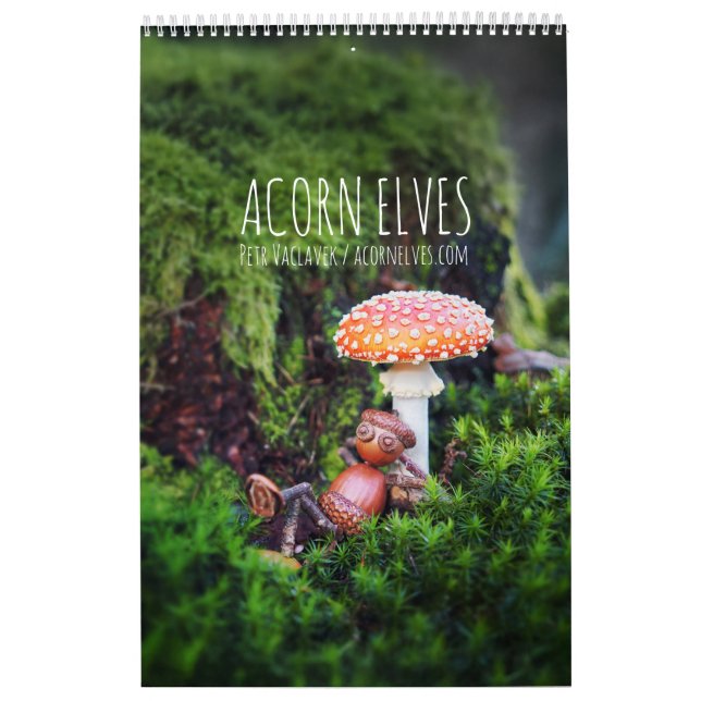 Acorn Elves / Dubanci Foto Kalender (Titelbild)