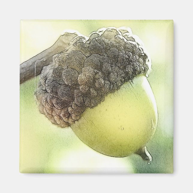 Acorn Magnet (Vorne)