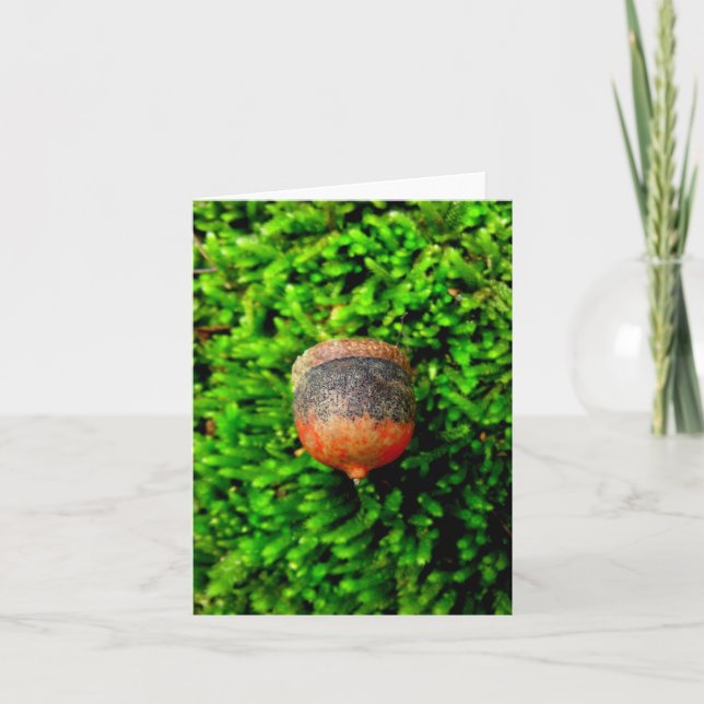Acorn & Moss Notecard Karte (Vorderseite)