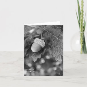 Acorn Note Card Karte