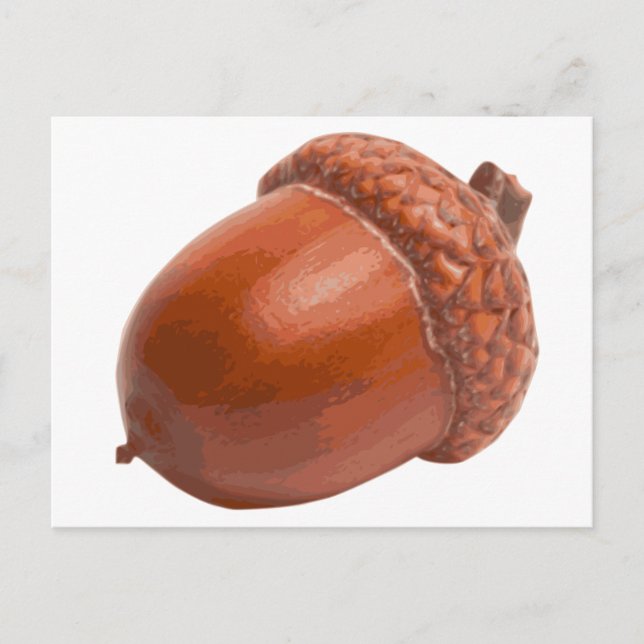 acorn.png postkarte (Vorderseite)