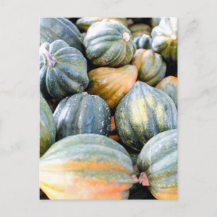 Acorn Squash Postkarte