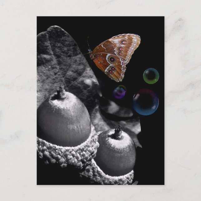 Acorns Butterfly und Blasen Postkarte (Vorderseite)