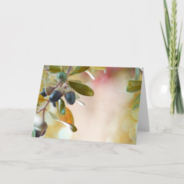 Acorns Karte (Vorderseite)