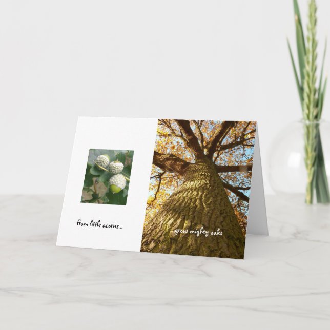 Acorns to Oaks Card Karte (Vorderseite)
