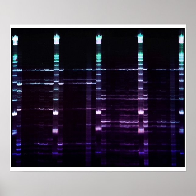 ACR Gel - 2 Poster (Vorne)