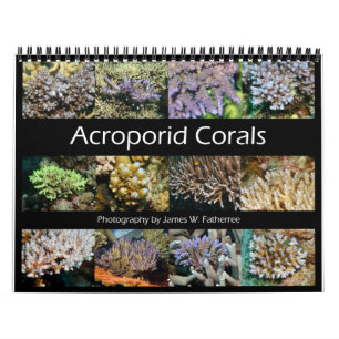 Acroporid Corals Wall Calendar von J.W. Vater. Kalender