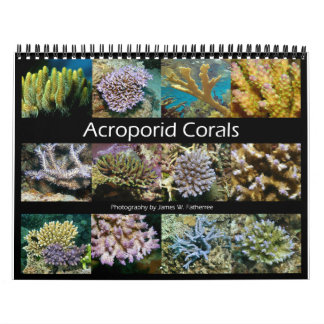 Acroporid Corals Wall Calendar von J.W. Vater. Kalender