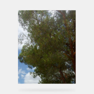 Acryl-Zeichenbild Acrylschild