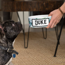 Acrylic Fluid Pour Emerald Dragon Pet Bowl Napf