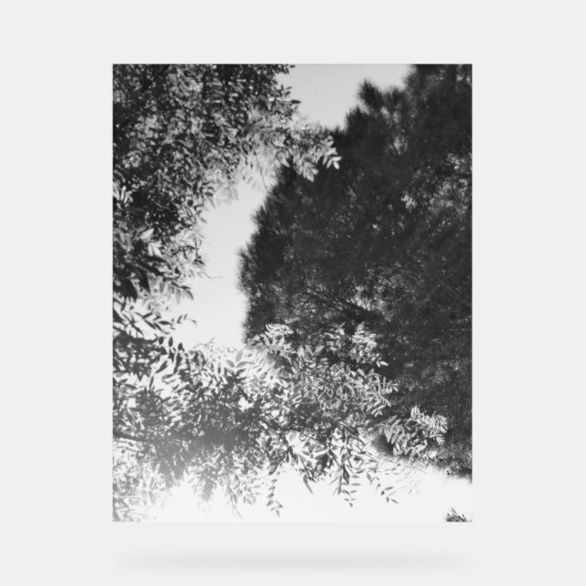 Acrylic Sign  Acrylschild (Vorderseite)