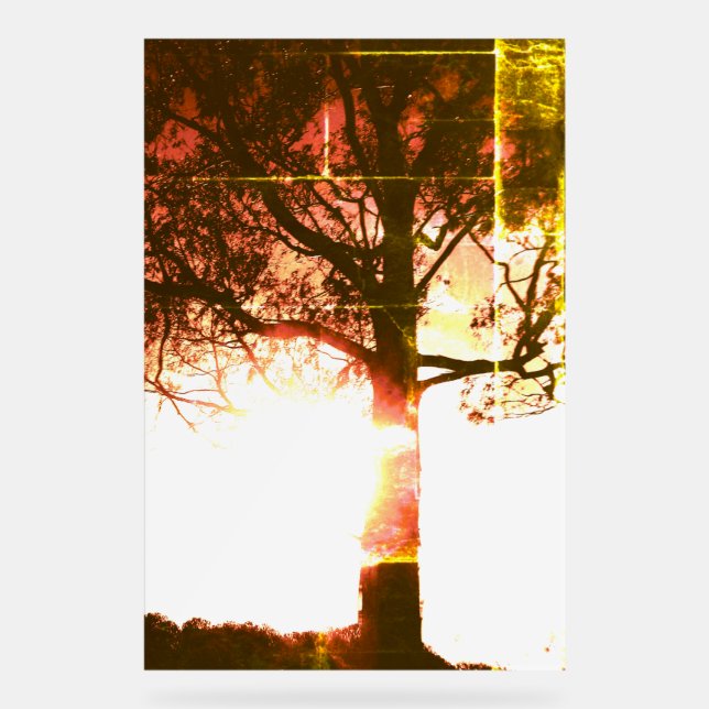 ACRYLIC SIGN COOL ÖKO DESIGN STYLE ACRYLSCHILD (Vorderseite)