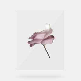 ACRYLIC SIGN ROSE DESIGN STYLE ACRYLSCHILD