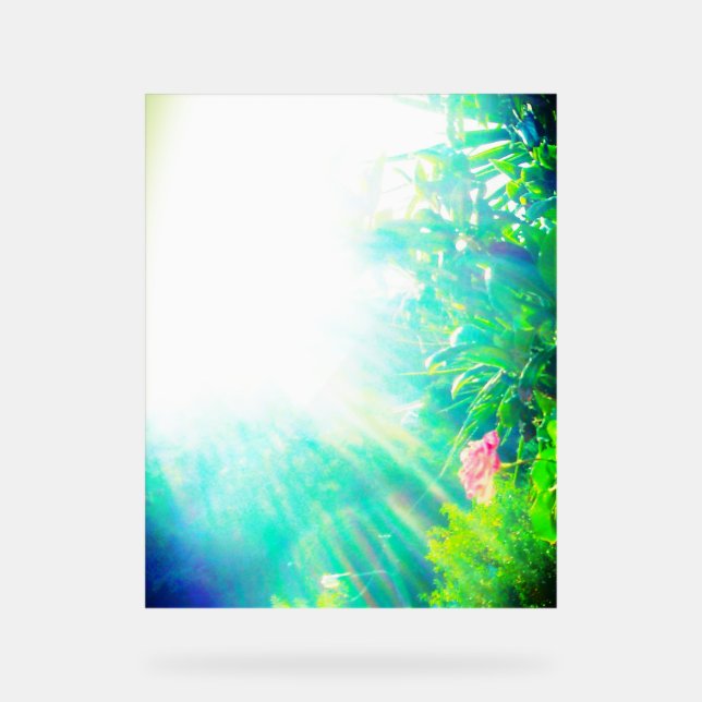 ACRYLIC SIGN ROSE DESIGN STYLE ACRYLSCHILD (Vorderseite)