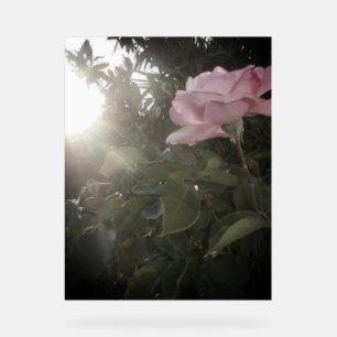 Acrylic Signature ROSE GARDEN DESIGN STIL Acrylschild