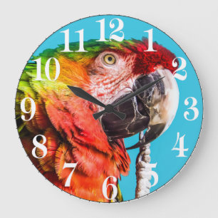 Acrylmauer Große Wanduhr
