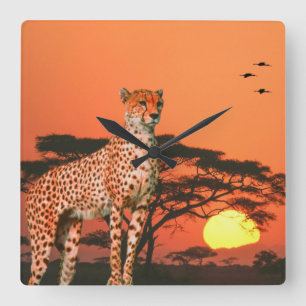 Acrylmauer Quadratische Wanduhr