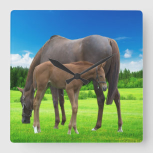 Acrylmauer Quadratische Wanduhr