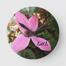 Acrylrunde (mittlere Größe)