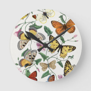 Acryluhren Schmetterling Vintage-Illustration Runde Wanduhr