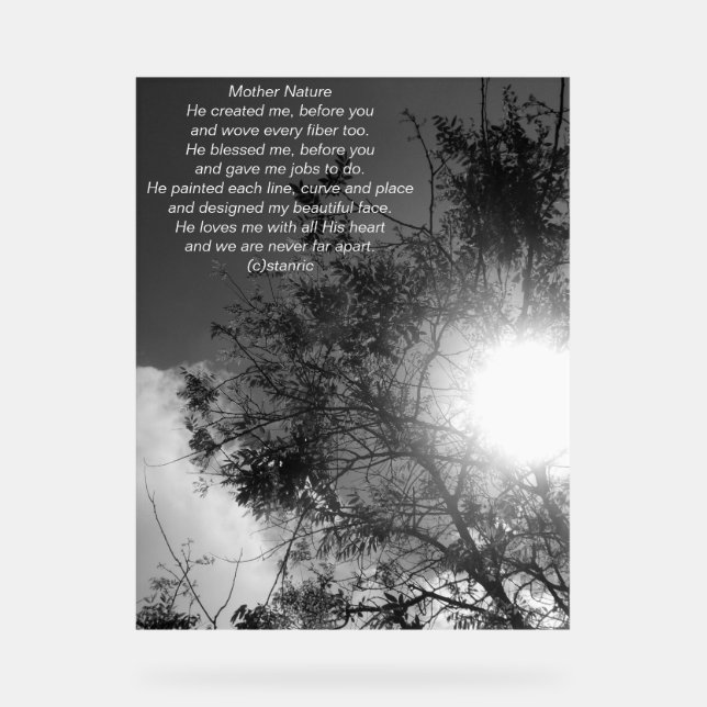 Acrylzeichen auf FOTOGRAPH-DESIGN Acrylschild (Vorderseite)