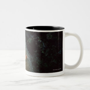 Actinia Zweifarbige Tasse