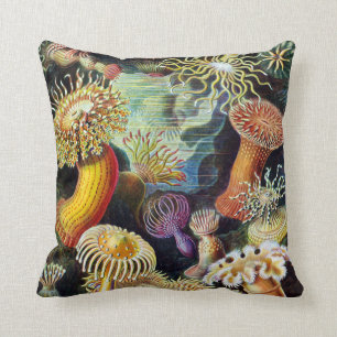 Actiniae durch Ernst Haeckel Kissen