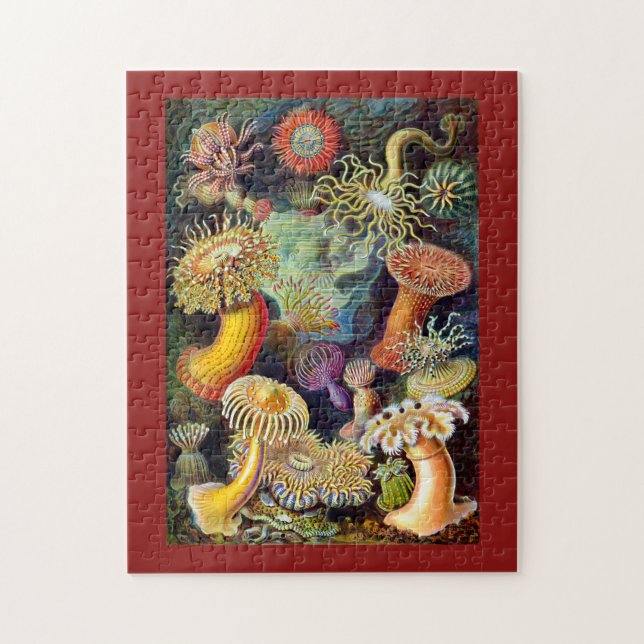 Actiniae durch Ernst Haeckel Puzzle (Vertikal)