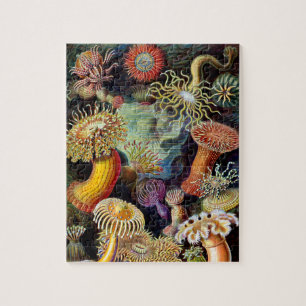 Actiniae von Ernst Haeckel Jigsaw Puzzle