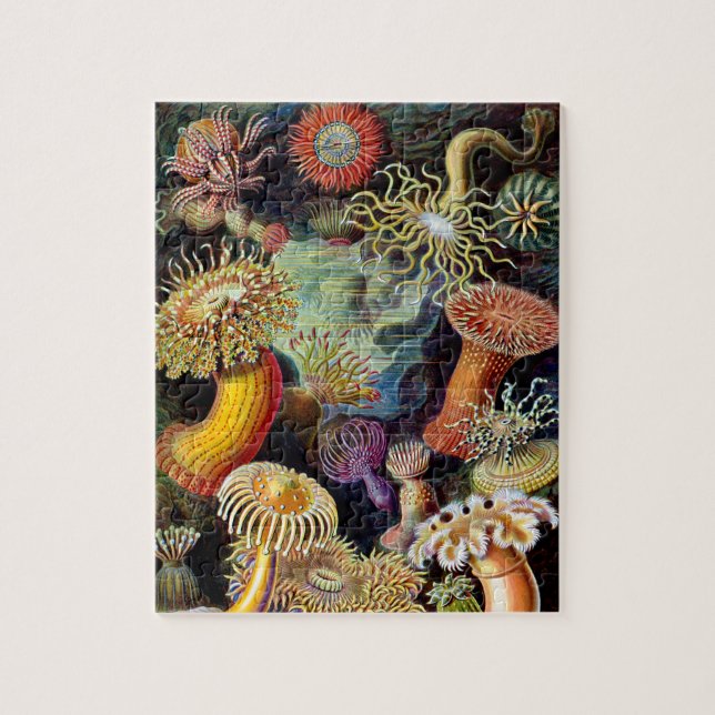 Actiniae von Ernst Haeckel Jigsaw Puzzle (Vertikal)