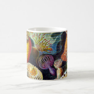 Actiniae von Ernst Haeckel Kaffeetasse
