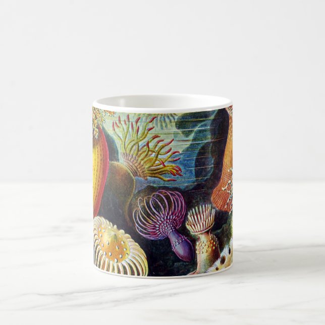 Actiniae von Ernst Haeckel Kaffeetasse (Mittel)
