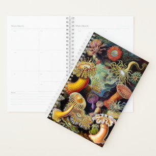 Actiniae von Ernst Haeckel Planner Planer