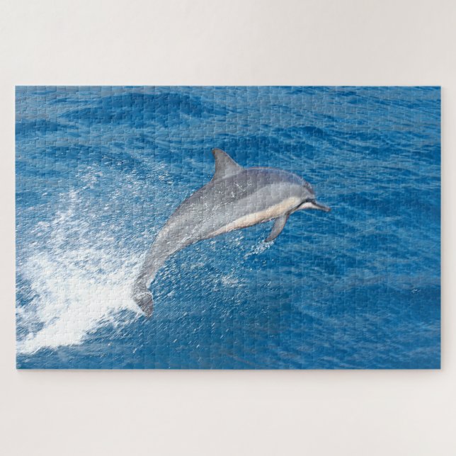 Action shot of dolphin spumping in Hawaii Puzzle (Horizontal)