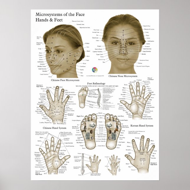 Acupressure Points Face Hand Feet Poster (Vorne)