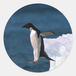 Ad?lie Pinguine springen von einem Eisberg Runder Aufkleber