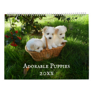 Adable Puppies Personalisiert Calendar Kalender